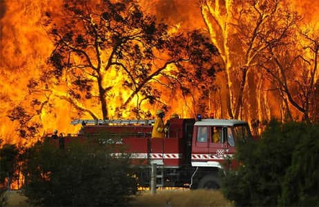 Les incendies en Californie ravagent les champs de Marijuana !